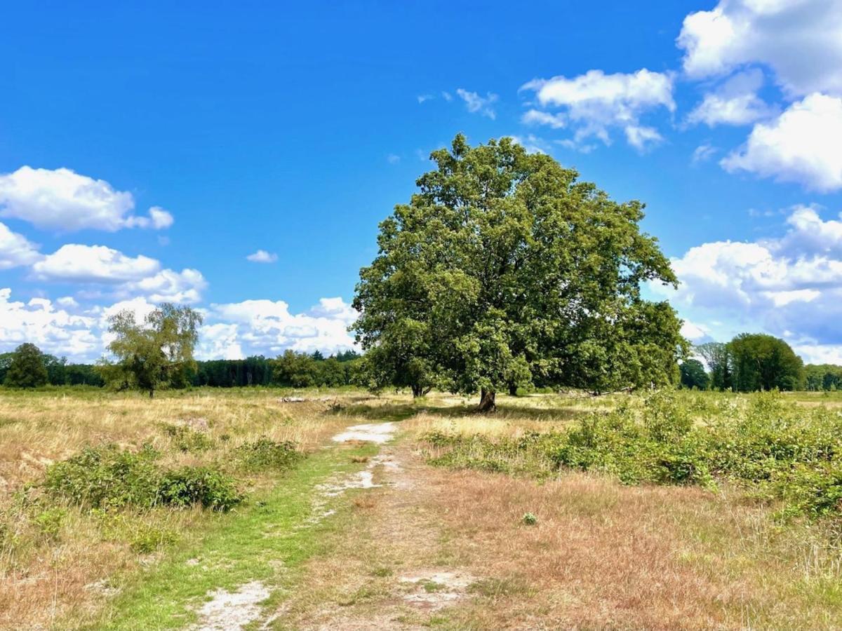 Buitenlust In Het Bos Zuidlaren Exterior photo
